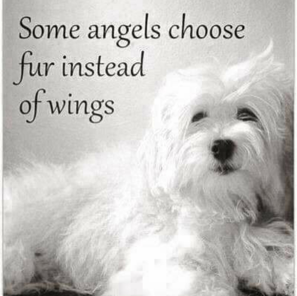 ❤Offers Welcome❤️ - Picture 4 of 11